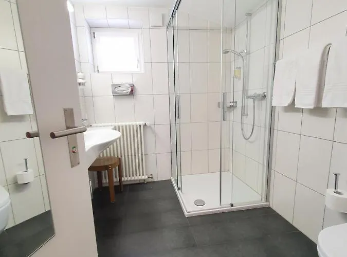 Отель Hotel-restaurant Grina 3*