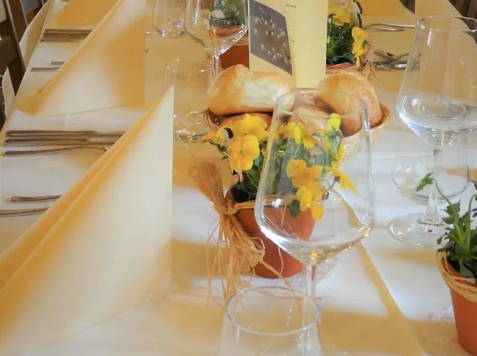 Hotel Hotel-restaurant Grina