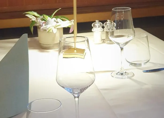 酒店 Dorfhotel Simplon Dorf 3*