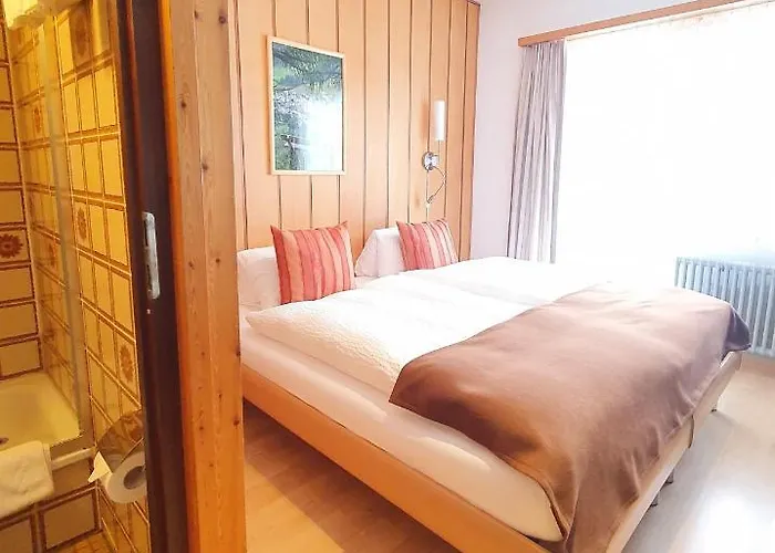 酒店 Dorfhotel Simplon Dorf 3*