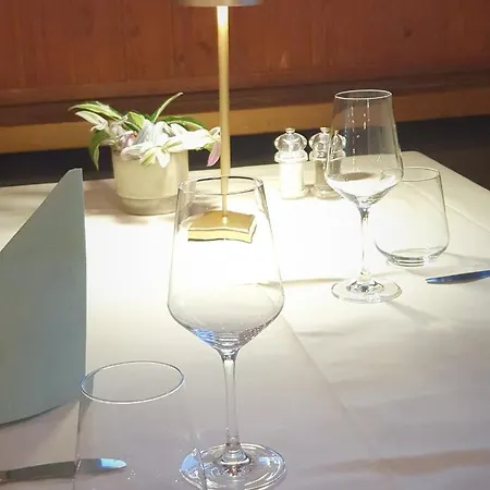 호텔 Hotel-restaurant Grina 3*